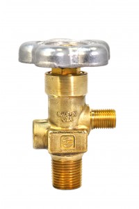 GSV