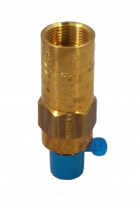 Cryogenic Relief Valves