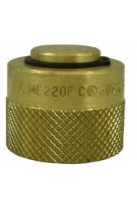 Female Plug