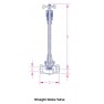Globe Valve