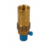Cryogenic Relief Valves